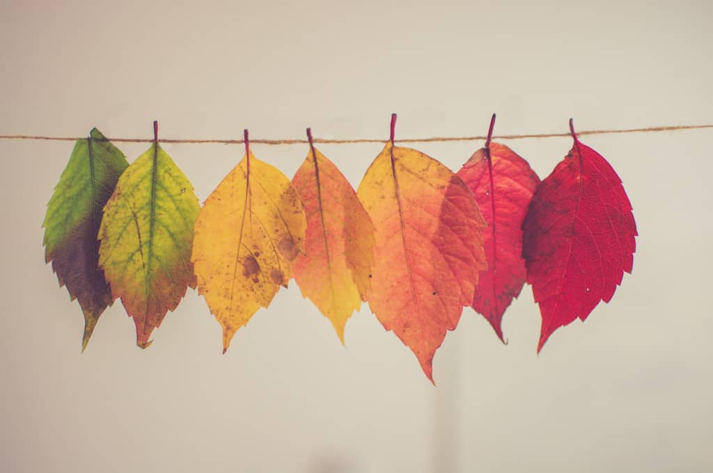 Obstacles to change